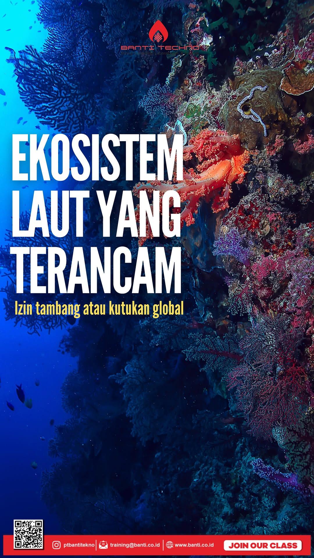 Tambang laut dalam disebut “solusi hijau.”